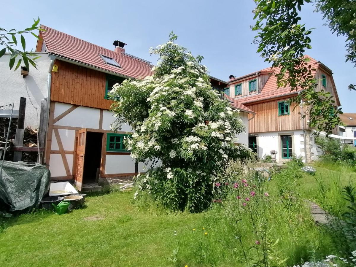 Ferienwohnung Villa Claudia Drezno Zewnętrze zdjęcie